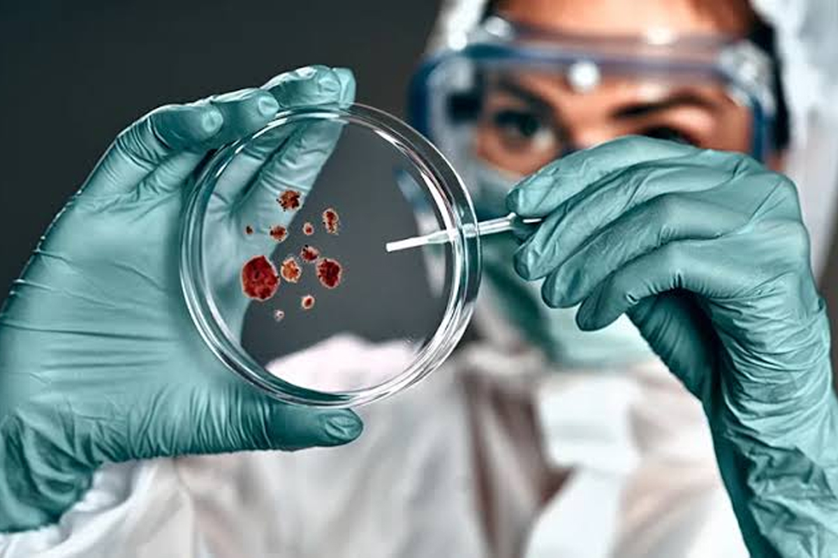 world zoonoses day animal to human diseases