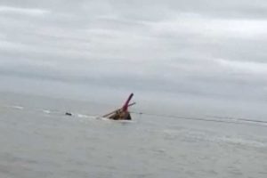বঙ্গোপসাগরে ট্রলারডুবি, প্রাণ বাঁচাতে উত্তাল সমুদ্রে ঢেউয়ের সঙ্গে যুদ্ধ ১২ মৎস্যজীবীর!