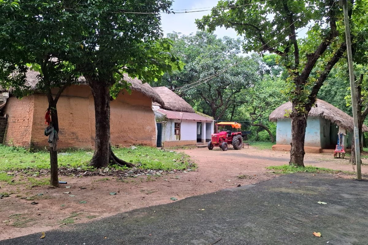 জঙ্গলের অন্তরালে বাংলায় এক টুকরো জনপদ, জনসংখ্যা মাত্র ১৬! গ্রামের ইতিহাস আশ্চর্য করবেই