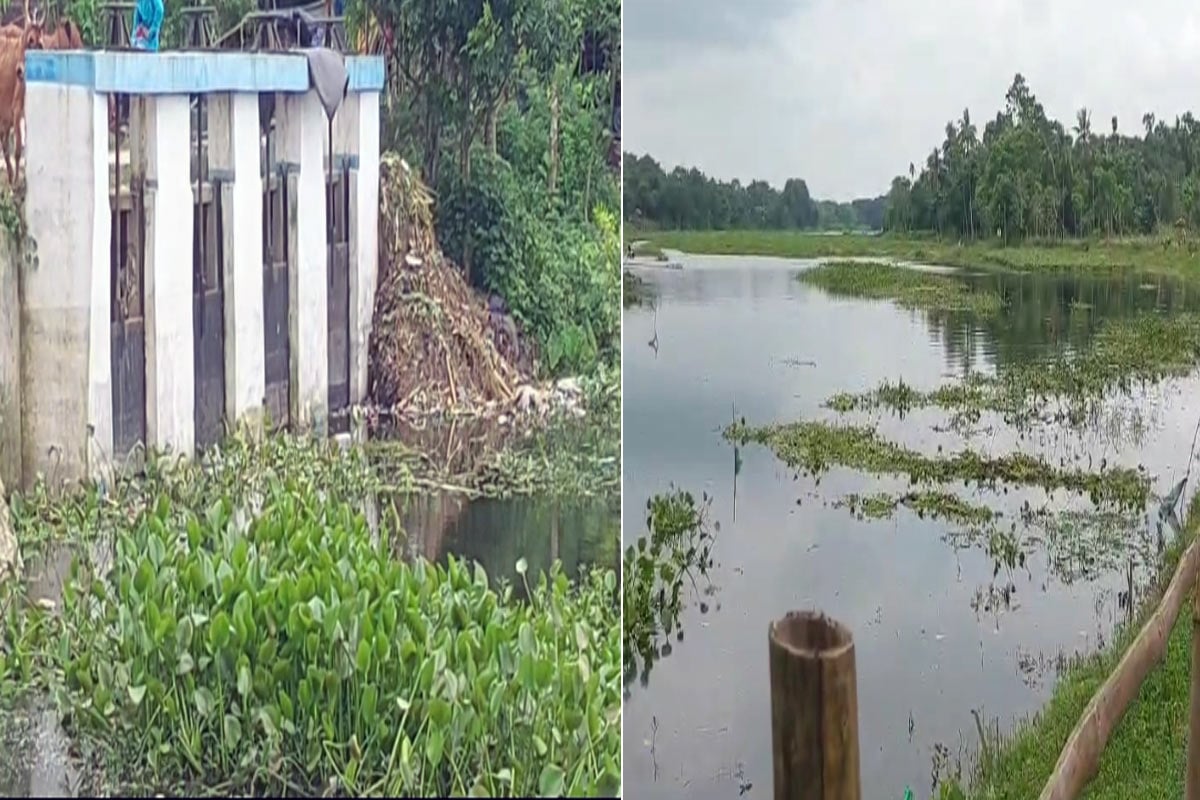 বাংলাদেশের জলে ভাসছে চাষের জমি, ক্ষোভে তৃণমূলকে দুষছেন কৃষকরা, জানেন কেন?