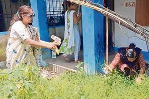 পাঠশালা না পানশালা! নিত্যদিন নেশার সামগ্রী সাফ করে ক্লাস শুরু করেন প্রধান শিক্ষিকা