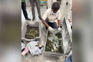 ব্যাগের মধ্যে গিজগিজ করছে বিদেশি কচ্ছপ, কলকাতা বিমানবন্দর থেকে আটক চেন্নাইয়ের যাত্রী