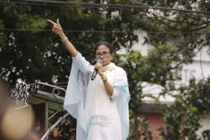 জোড়াফুল হাতছাড়া হলে ফুলেই থাকবেন মমতা! তৈরি কালীঘাটপন্থীদের প্ল্যান ‘বি’