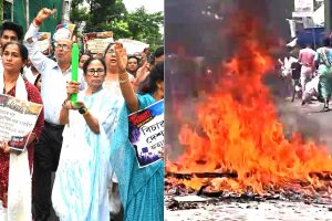 অভয়া কাণ্ডের সময় উৎসবে ফেরার পরামর্শ! বারুইপুর কাণ্ডে পথে নামতে চেয়ে আদালতে ছুটলেন সেই মমতা