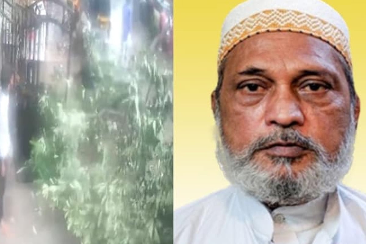 প্রবল বৃষ্টিতে হুড়মুড়িয়ে ভাঙল গাছ, চাপা পড়ে মর্মান্তিক মৃত্যু বৃদ্ধের, মুম্বইয়ের ভিডিও ভাইরাল