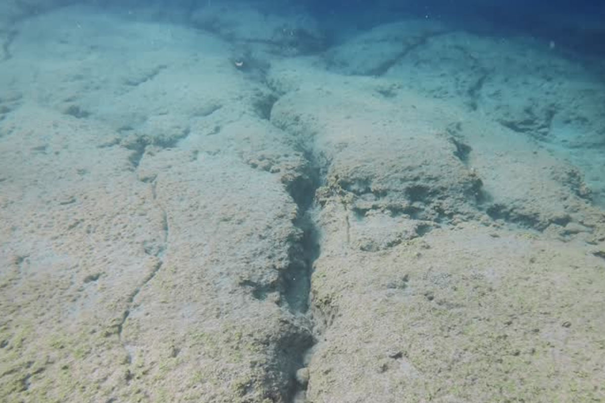 Ocean floor splits apart in real time scientists surprized