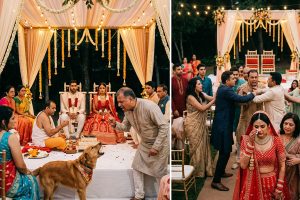 পোষ্য কুকুরকে মারধর বরযাত্রীর, বিবাদ গড়ায় হাতাহাতিতে, বিয়ে ভাঙলেন পাত্রী নিজেই!