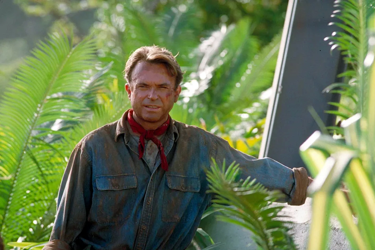 sam neill death rare blood cancer aitl symptoms treatment