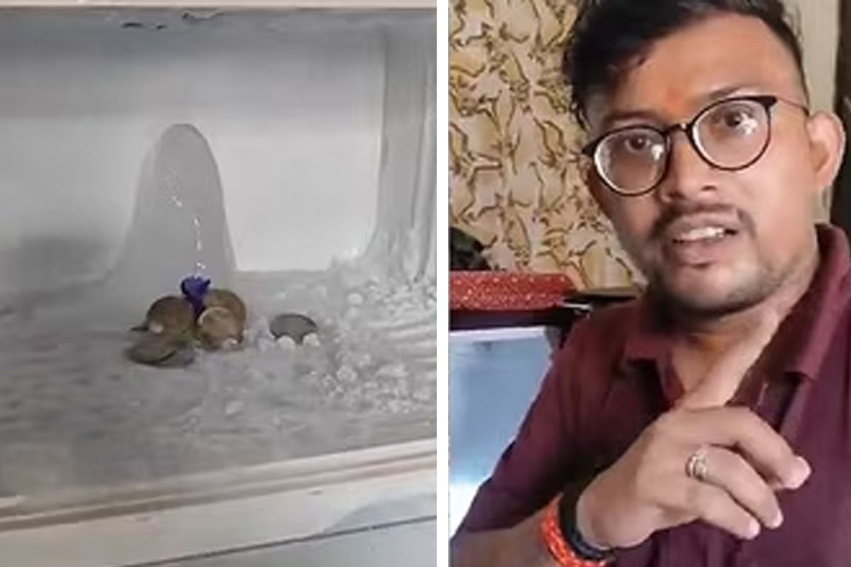 ফ্রিজে সাক্ষাৎ ‘বাবা বরফানি’! অলৌকিক শিবলিঙ্গ দর্শনে ভক্তের ঢল আগ্রার যুবকের বাড়িতে