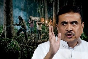 তৃণমূল জমানায় বন চুরি! ‘সব ধ্বংস করেছে, গাছও ছাড়েনি’, তোপ মুখ্যমন্ত্রীর