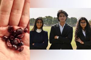 পানীয় জল থেকে প্লাস্টিক সরাবে তেঁতুলের বীজ! তাক লাগানো আবিষ্কার ভারতীয় পড়ুয়াদের