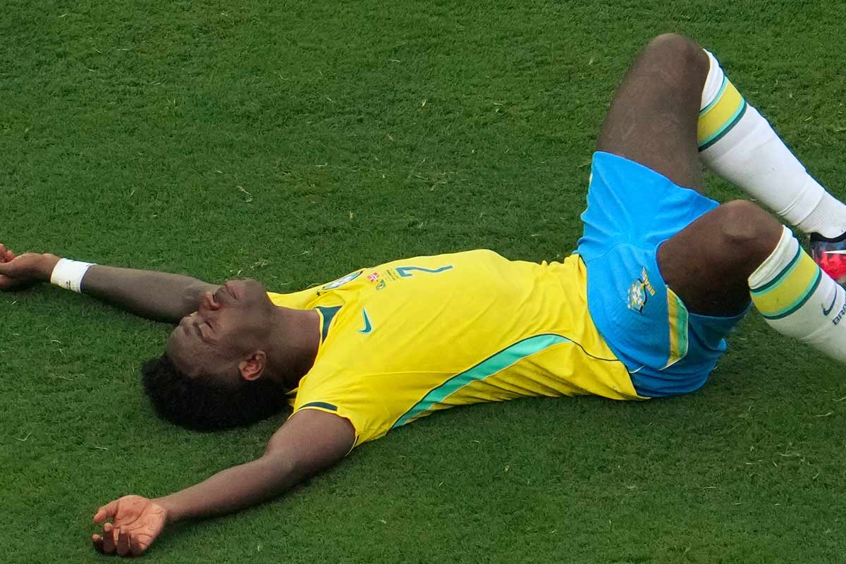 vini