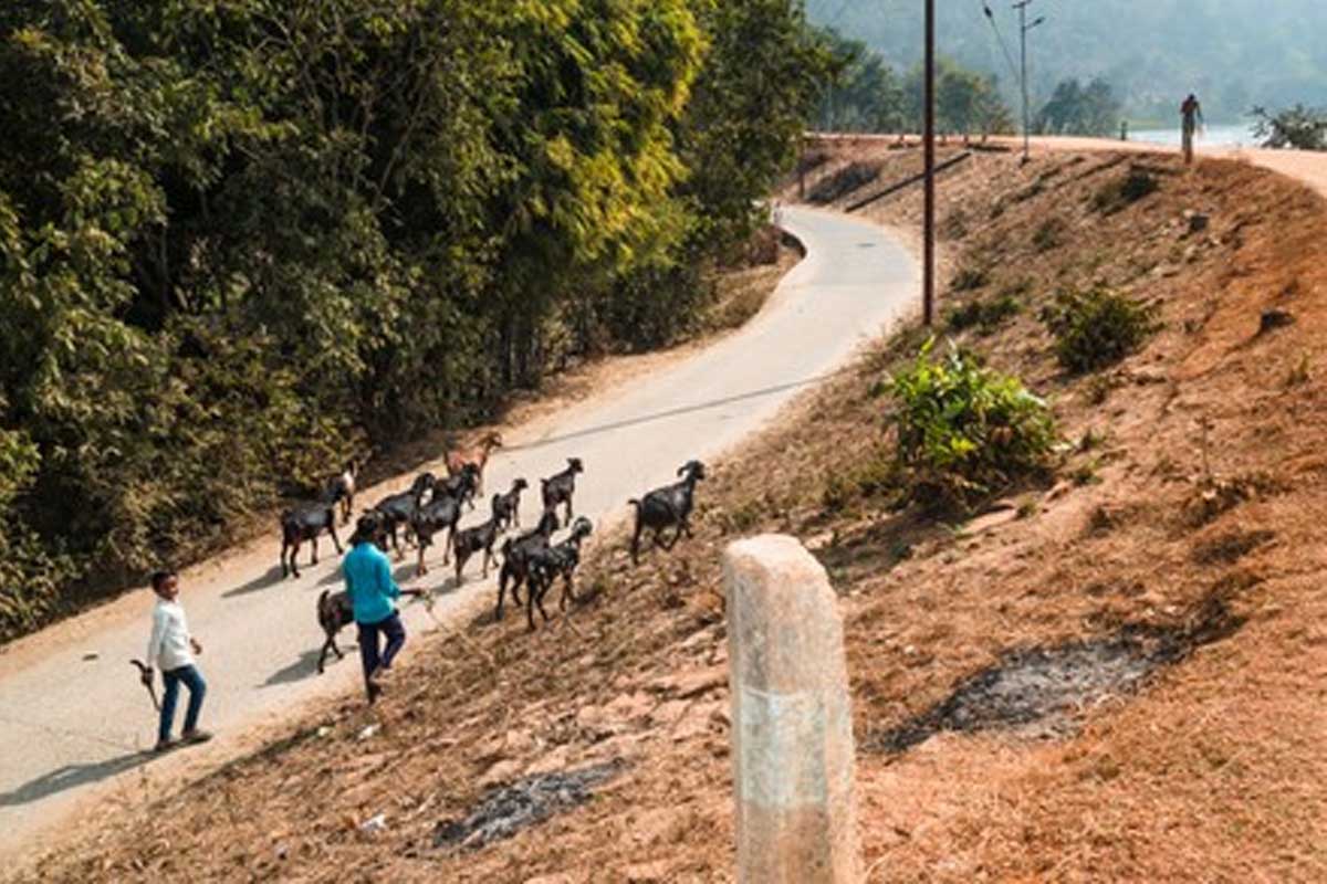 Durga Puja Getaway: 5 Offbeat Places Near Kolkata