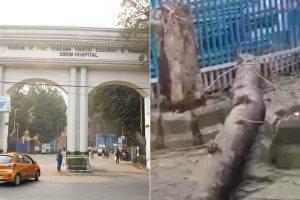 এসএসকেএমে মাথায় গাছ পড়ে মৃত্যু মহিলার, আত্মীয়কে ডাক্তার দেখাতে এনে চরম পরিণতি
