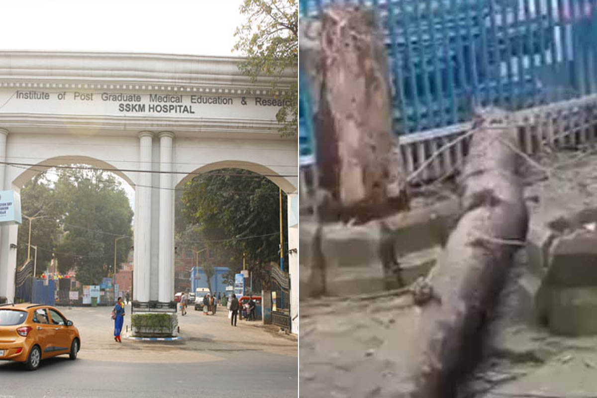 এসএসকেএমে মাথায় গাছ পড়ে মৃত্যু মহিলার, আত্মীয়কে ডাক্তার দেখাতে এনে চরম পরিণতি