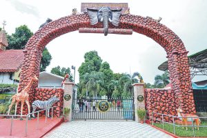 বাঘ, ভালুকের দেখভাল করবে পড়ুয়ারা! জু রেঞ্জার হওয়ার সুযোগ দিচ্ছে আলিপুর চিড়িয়াখানা