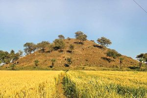 বৌদ্ধ সংস্কৃতির পুনরাবিষ্কার, সম্রাট অশোকের যুগের অতীতকে উদ্ধার করবে মধ্যপ্রদেশ সরকার