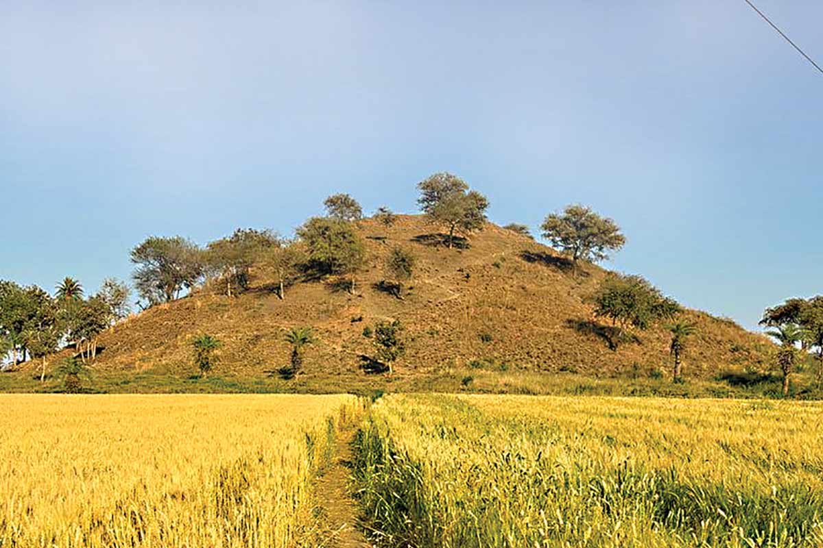 বৌদ্ধ সংস্কৃতির পুনরাবিষ্কার, সম্রাট অশোকের যুগের অতীতকে উদ্ধার করবে মধ্যপ্রদেশ সরকার