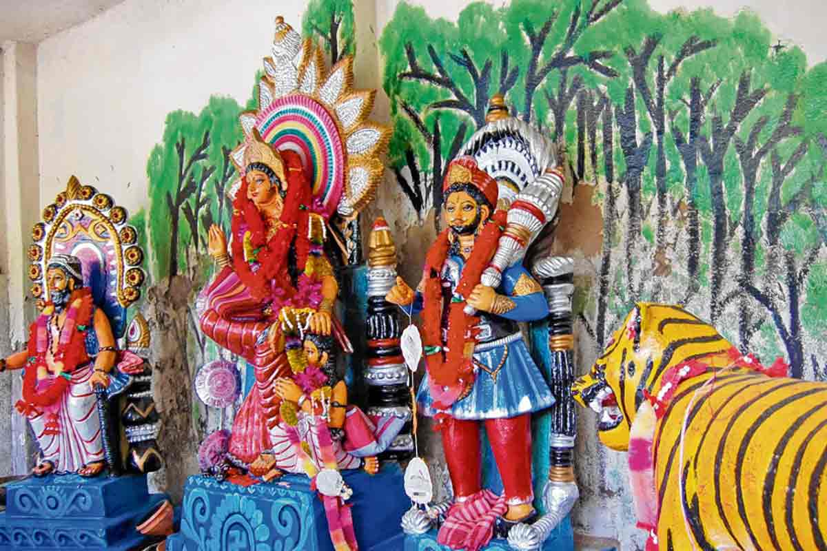 অতল বনের গান! সামাজিক বিশ্বাসের মাধ্যমে সংরক্ষিত পবিত্র বনাঞ্চল