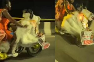 ‘নন্দী’র পিঠে চেপে কানওয়ার যাত্রা! ভাইরাল শিবের পবিত্র বাহনের আদলের বাইক
