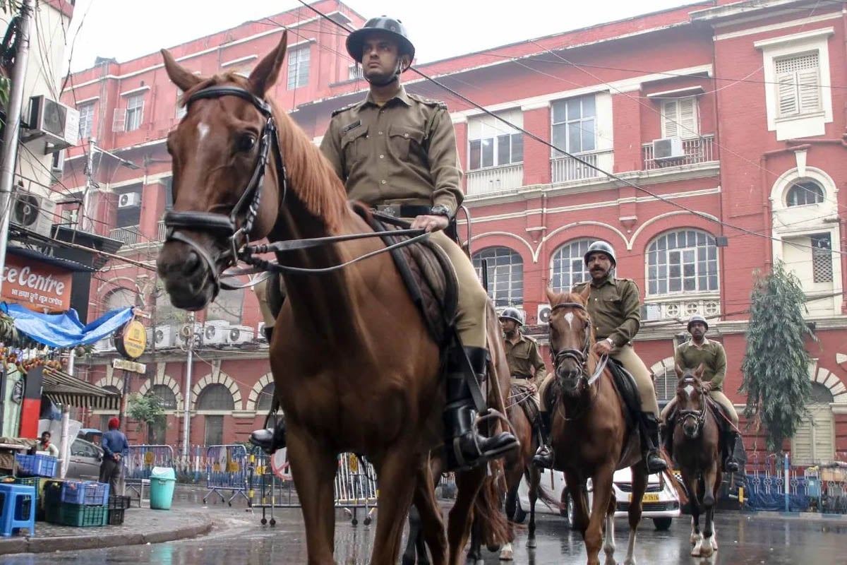 লালবাজারে ঘোড়ারাও এখন ‘ফিটনেস ফ্রিক’, এবার মেনুতে ওটস!