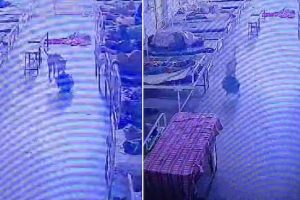 রাতের হাসপাতালে ৪ লক্ষের গয়না ভর্তি ব্যাগ লুট! তদন্তে নেমে চারপেয়ে ‘চোর’ ধরল পুলিশ, ভাইরাল ভিডিও 