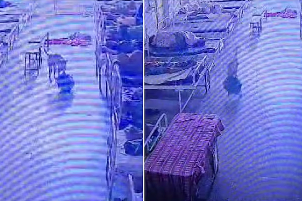 রাতের হাসপাতালে ৪ লক্ষের গয়না ভর্তি ব্যাগ লুট! তদন্তে নেমে চারপেয়ে ‘চোর’ ধরল পুলিশ, ভাইরাল ভিডিও 