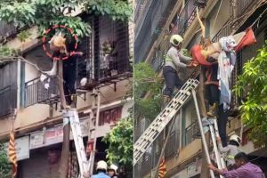 ১০তলা থেকে ঝাঁপ দিয়ে ফাঁসলেন গাছের ডালে! কোনওমতে প্রাণরক্ষা মুম্বইয়ের তরুণীর