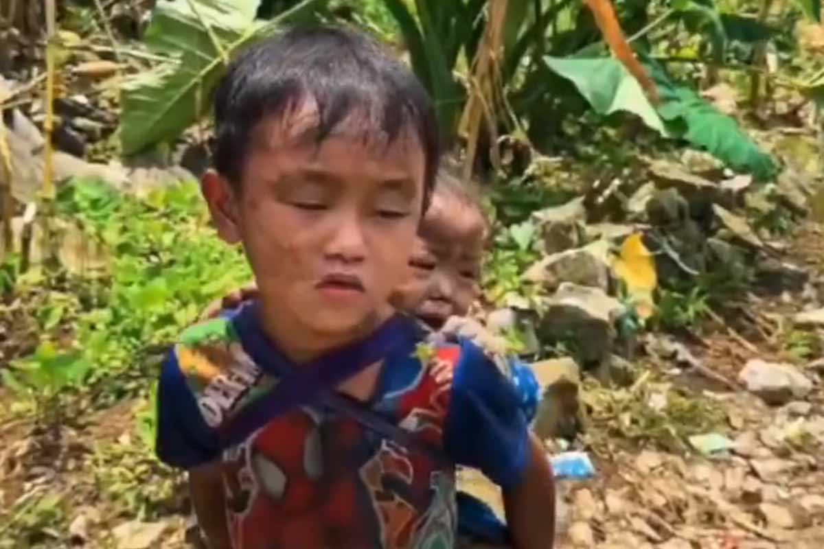 পিঠে বাঁধা ছোট বোন, নেপালের বিধ্বস্ত পথে মা-বাবার খোঁজে দিশাহারা খুদে দাদা! ভাইরাল ভিডিও