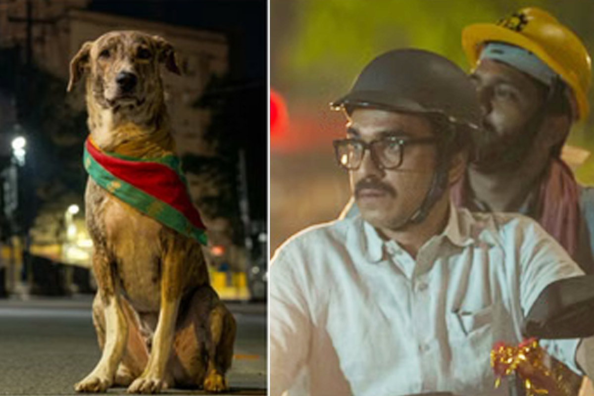 Ohh My Dog Explores the Bond Between Pets and Owners