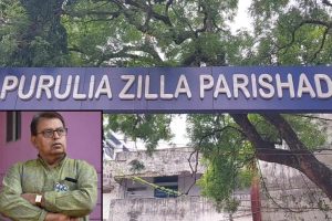 দুর্নীতি মামলায় গ্রেপ্তার হতেই অপসারিত জেলা পরিষদের সহ-সভাধিপতি সুজয়, শূন্য পদে এবার কে?