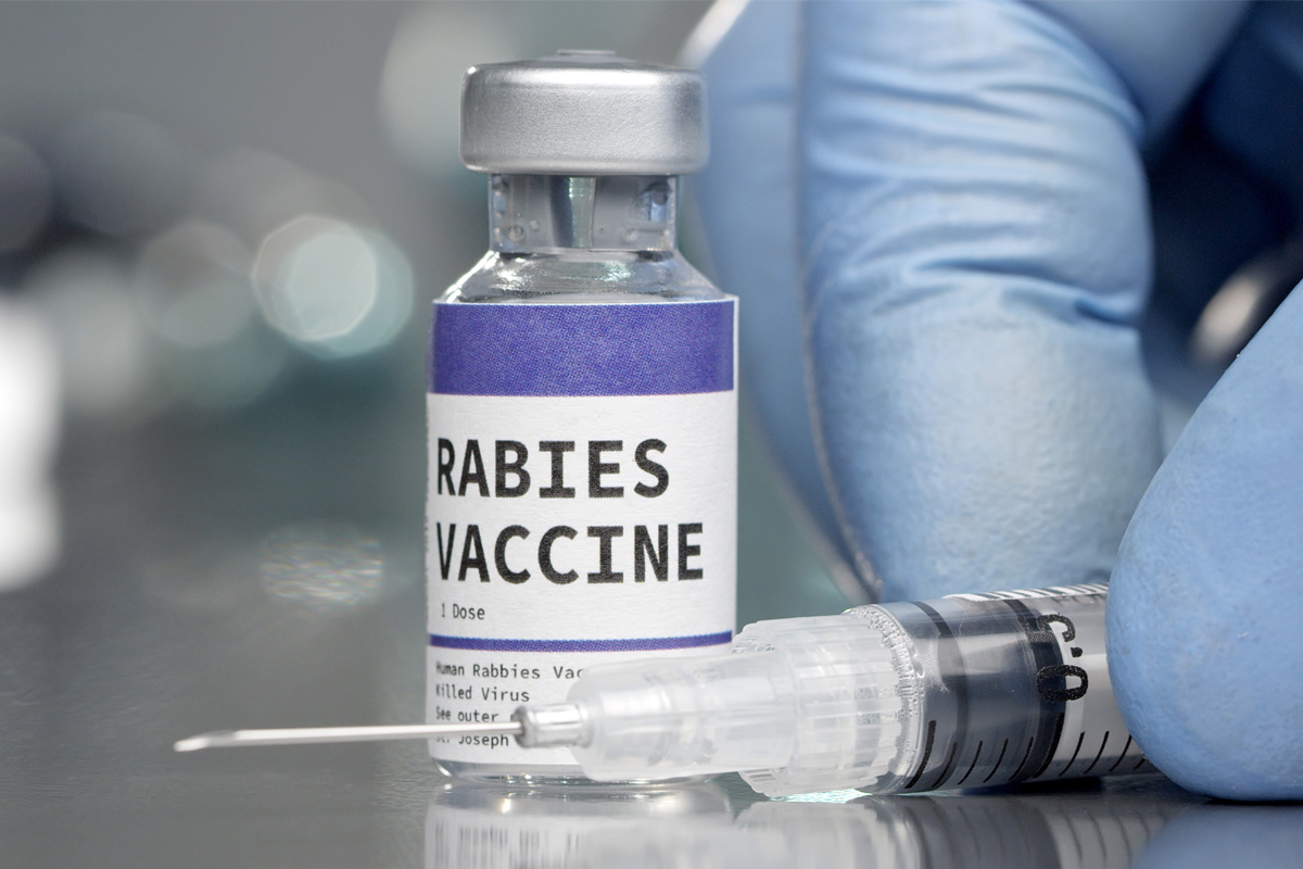 15 year old recover from rabies after symptoms can rabies be cured