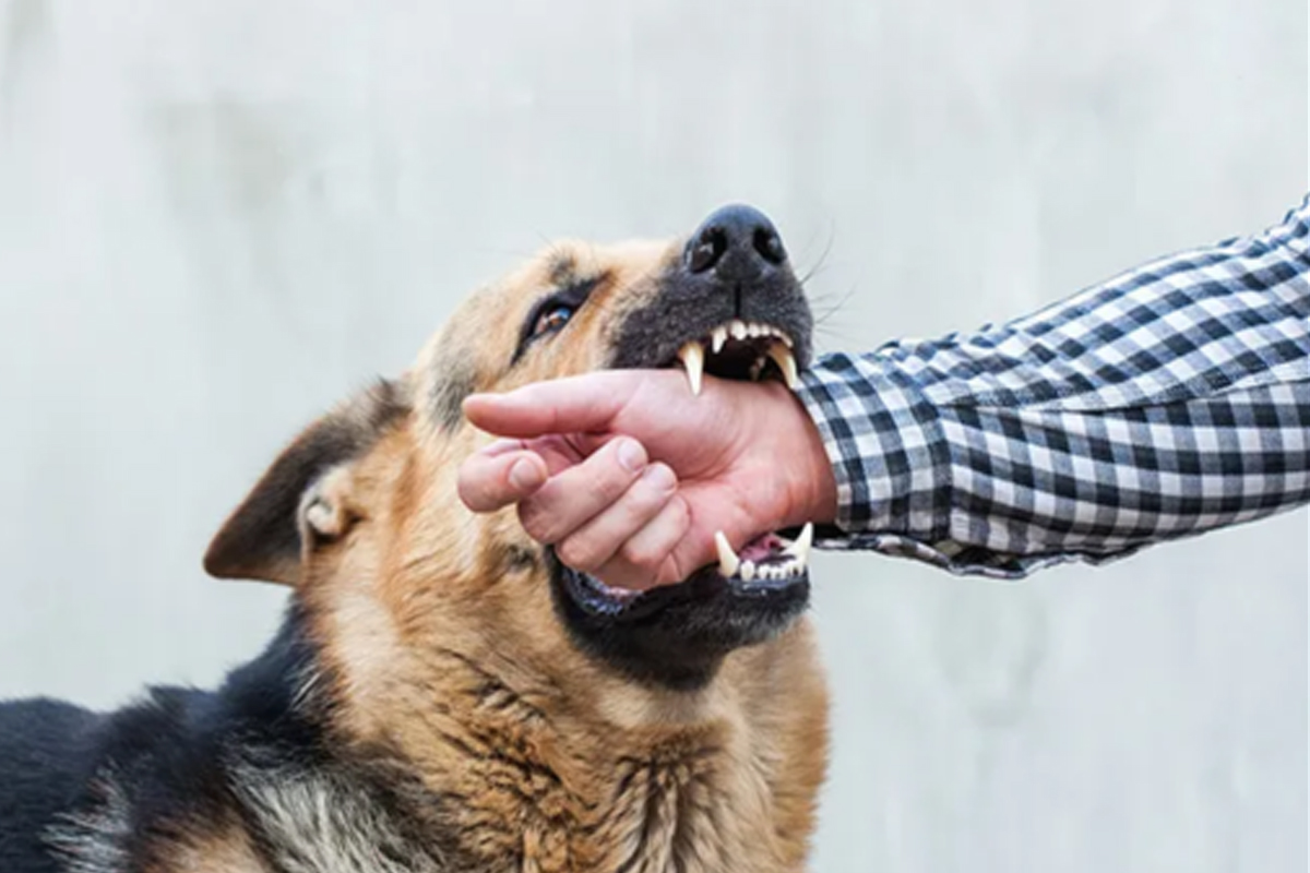 15 year old recover from rabies after symptoms can rabies be cured