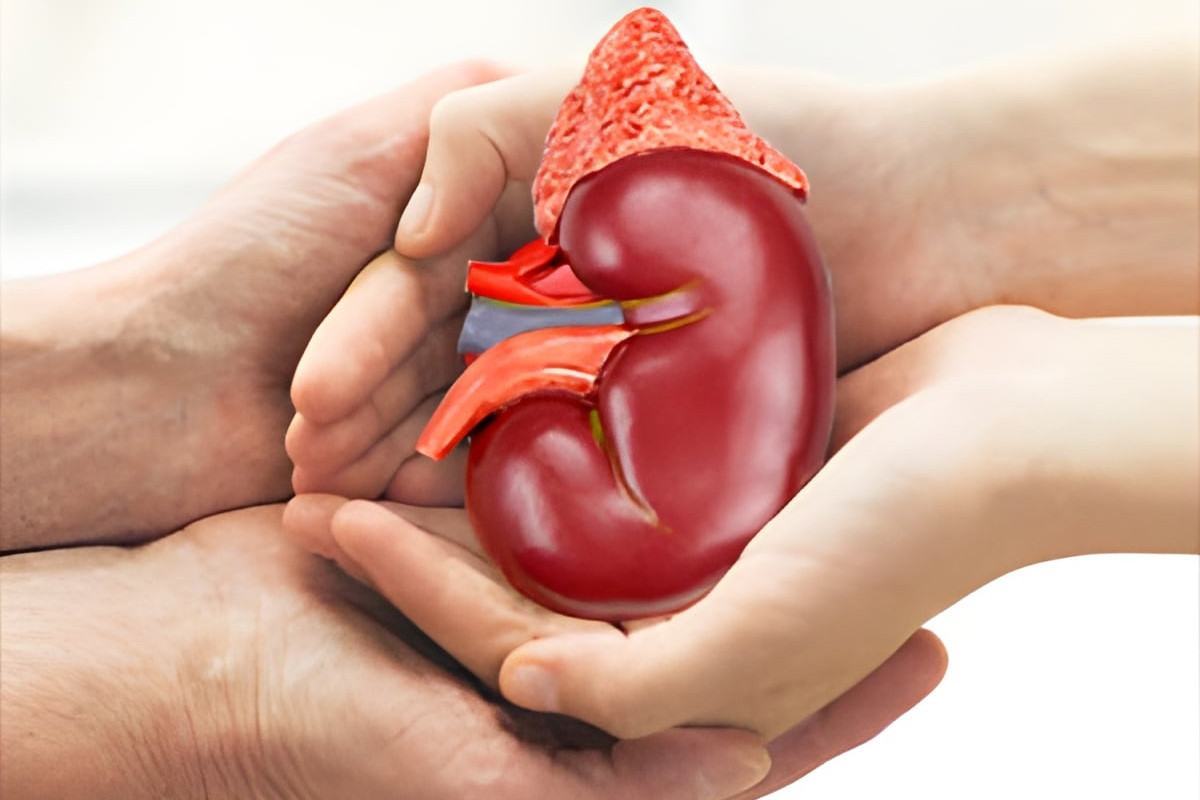 Sister’s Priceless Rakhi Gift: Kidney Donation Gives Brother a New Life