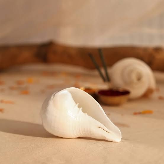 Shankha