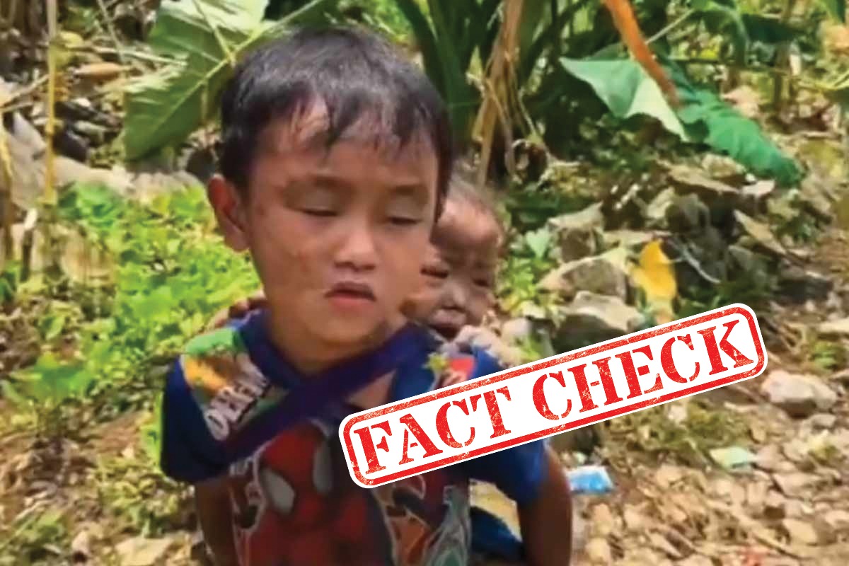 Fake News: ভাইকে পিঠে নিয়ে নেপালে মা-বাবার খোঁজে খুদে! ছড়াচ্ছে ভুয়ো ভিডিও
