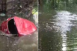 আনকোরা হাতে গ্যারেজ থেকে নতুন গাড়ি বের করে সটান পুকুরে! কলকাতায় মর্মান্তিক মৃত্যু মহিলার