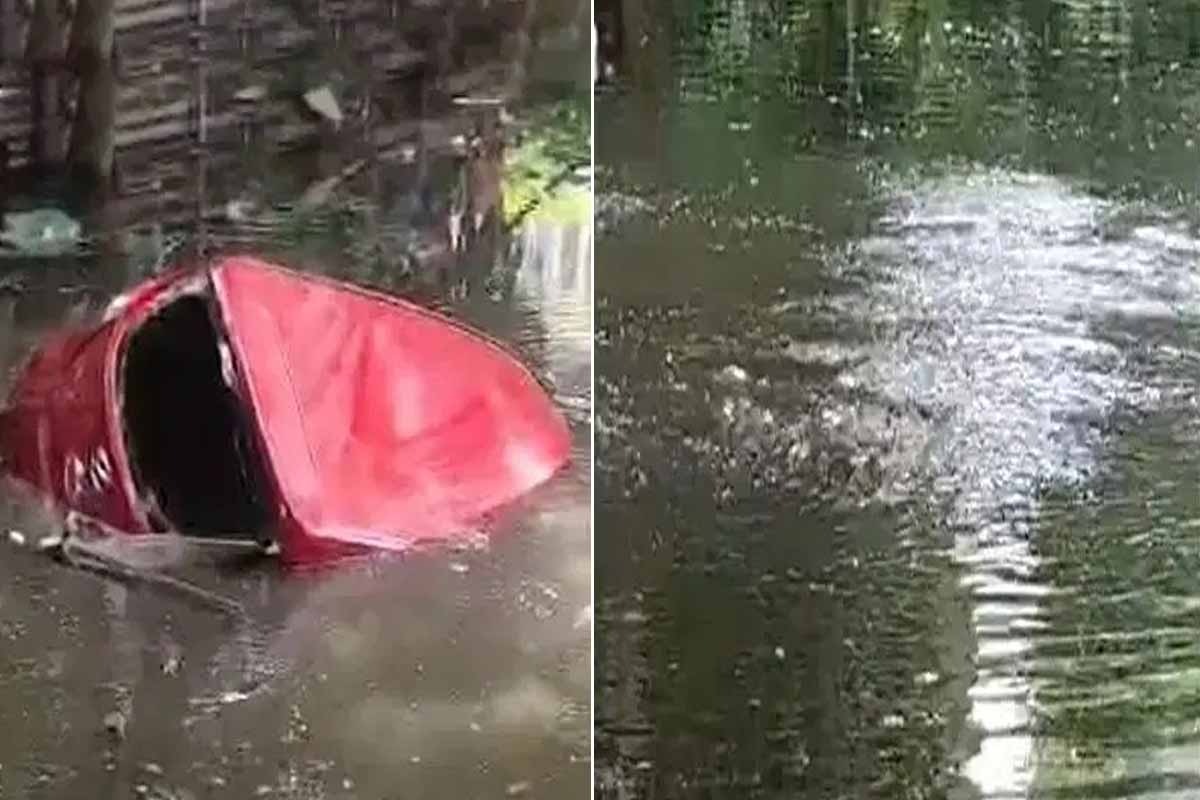 আনকোরা হাতে গ্যারেজ থেকে নতুন গাড়ি বের করে সটান পুকুরে! কলকাতায় মর্মান্তিক মৃত্যু মহিলার