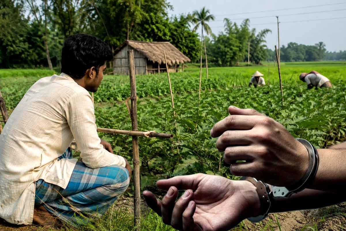 চাষের আড়ালে পাকিস্তানের চরবৃত্তি! এবার দিনহাটা সীমান্ত থেকে গ্রেপ্তার যুবক, ‘স্লিপার সেলে’র জাল কত দূর?