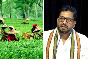 চা বাগানের জমি বিক্রির টাকা তৃণমূল ফান্ডে! উত্তরে কেলেঙ্কারির অভিযোগ মন্ত্রী শংকরের