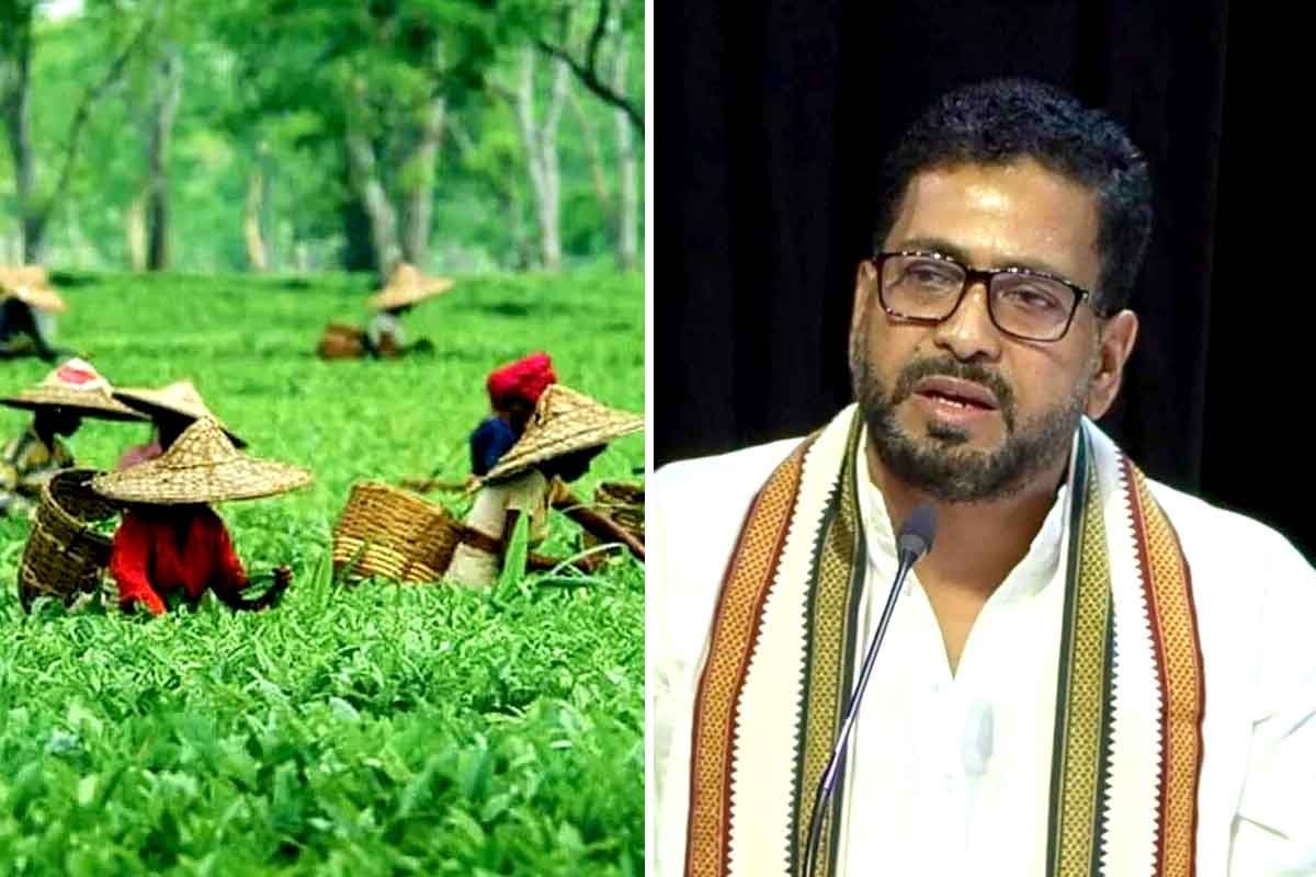 চা বাগানের জমি বিক্রির টাকা তৃণমূল ফান্ডে! উত্তরে কেলেঙ্কারির অভিযোগ মন্ত্রী শংকরের