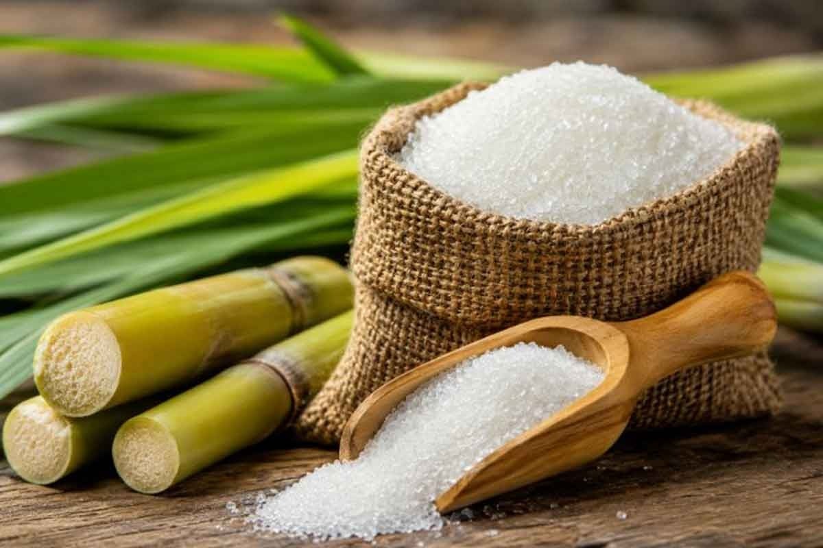 ২০ দিনে ২০ টাকা বেড়েছে চিনির দাম, ইথানল নয়, মূল্যবৃদ্ধির আসল কারণ জানাল কেন্দ্র