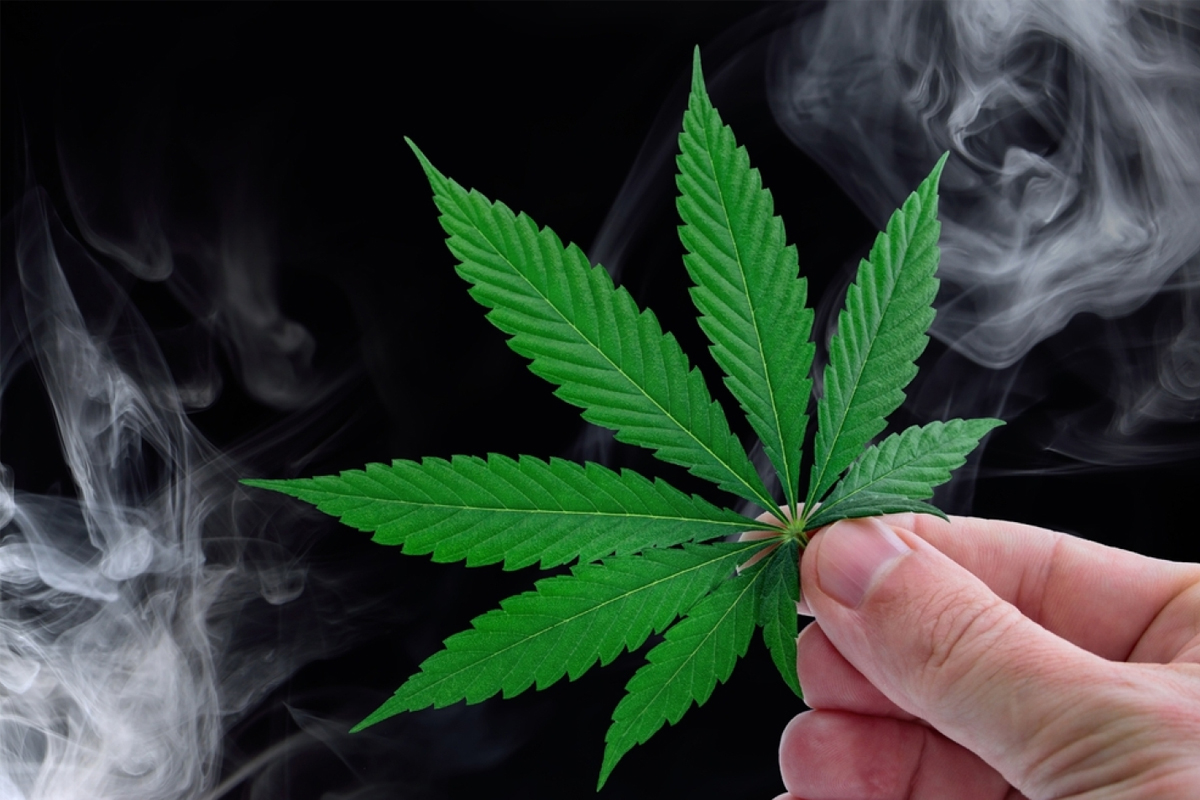 marijuana cannabis effect focus reaction time decision making pilot