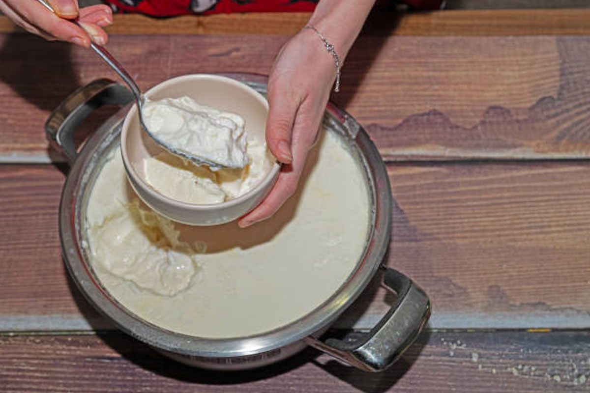 Thick and creamy homemade curd in a bowl