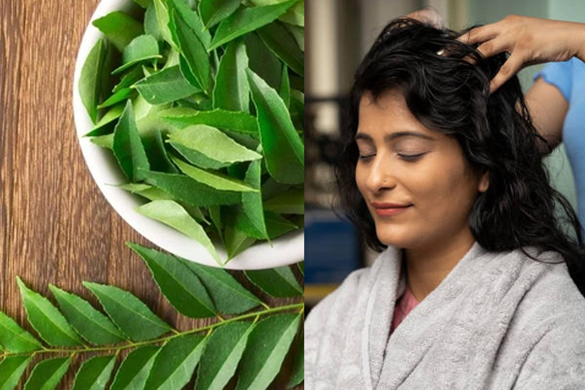 কারিপাতায় চুল হবে পুষ্ট ও মজবুত, মাথায় মাখার আগে শুধু মিশিয়ে নিন এই ৫ রকম তেলে