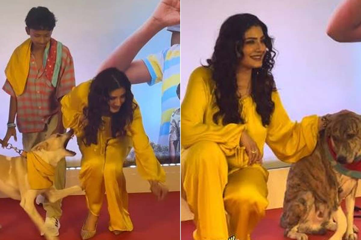 ‘ওহ্ মাই ডগ’-এর প্রচারে রবিনার উপর সারমেয়র হামলা, জামা ধরে টানাটানি! ভাইরাল ভিডিও