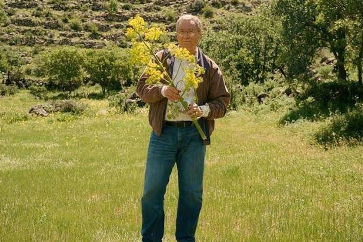 Ancient ‘Miracle Plant’ used as birth control may be found doubts scientists