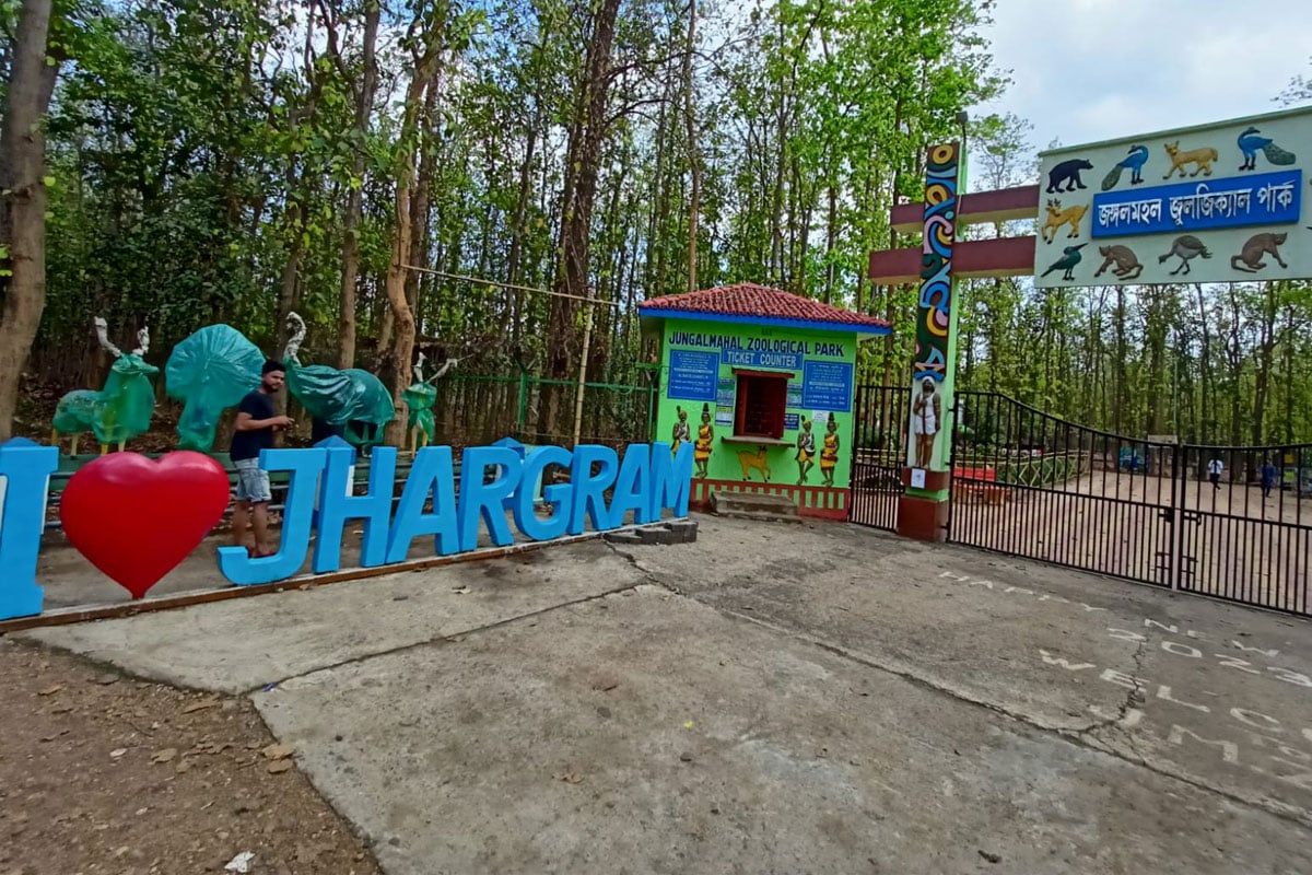 জঙ্গলের ‘বিষাক্ত প্রহরী’, বিরল লজ্জাবতী বানরের এবার দেখা মিলবে জঙ্গলমহল জুলজিক্যাল পার্কে