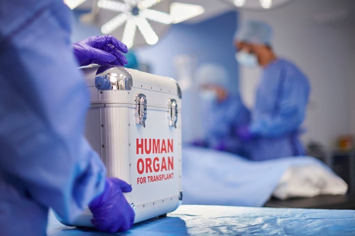World Organ Donation Day: Who Can Donate Organs and What Doctors Check