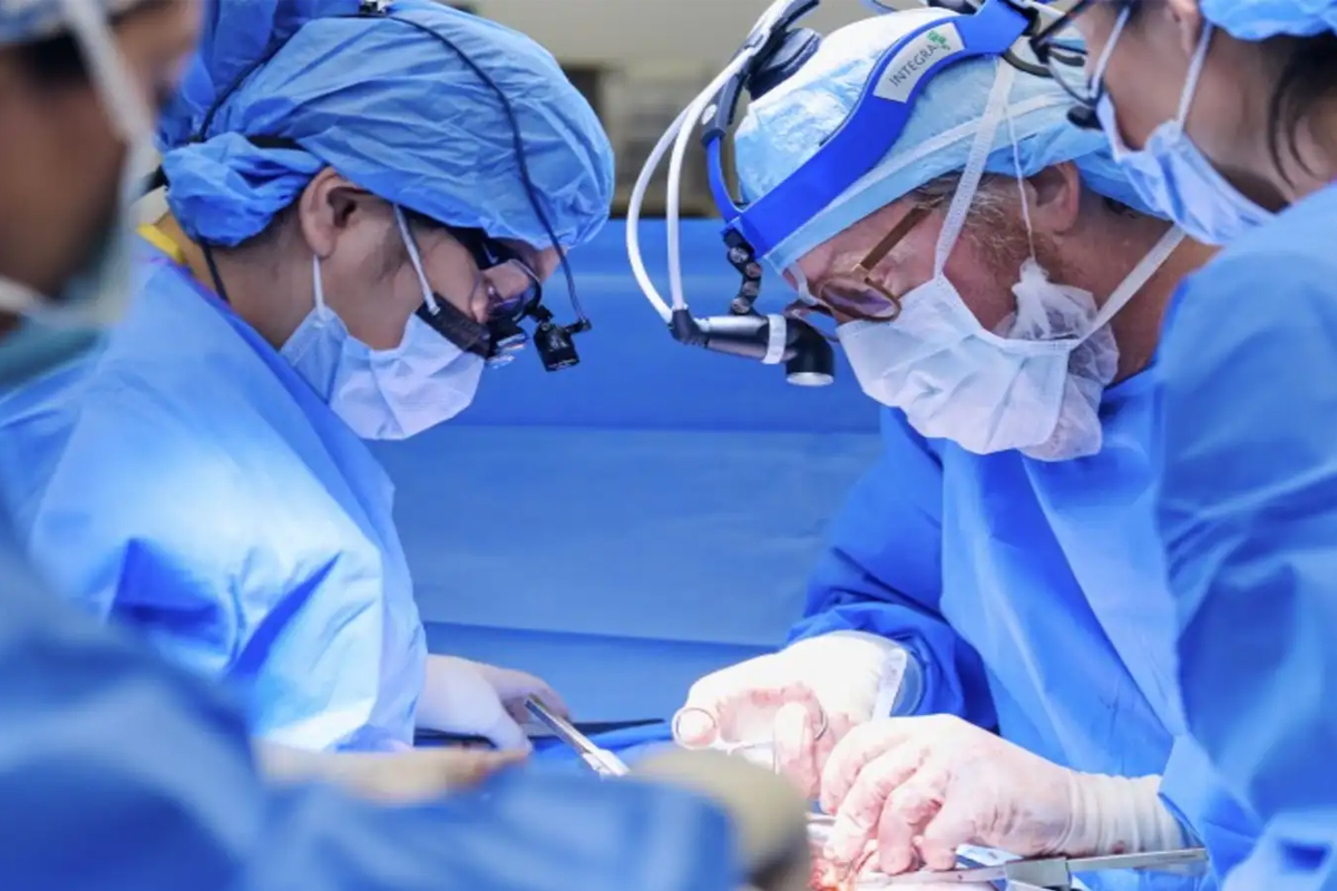 World Organ Donation Day: Can Smokers and Drinkers Donate Organs?